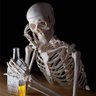 Profilbild von Regular Anti-Genocide Skeleton 🇵🇸