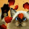 rus profil fotoğrafı