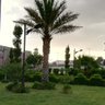 العمر 的头像