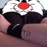 Profilbild von Kara Kedi 🐱