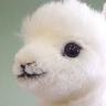 Profilbild von ひよこまめ