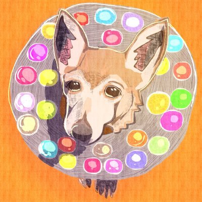 👾ヒムりン👾's profile picture