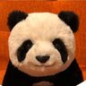 Profilbild von XIANGXIANG612