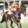 Profilbild von ppilFƎd 🏇 🇦🇺 🇳🇿