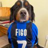 fabio's profile picture