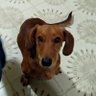 Matias Cuevas profil fotoğrafı