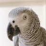 Фото профиля か り ん