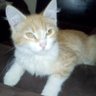 Profilbild von Rick