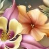 shoshoHRBY profil fotoğrafı