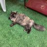 Фото профиля eisa