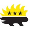 Randy West's profile picture