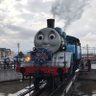 もも's profile picture