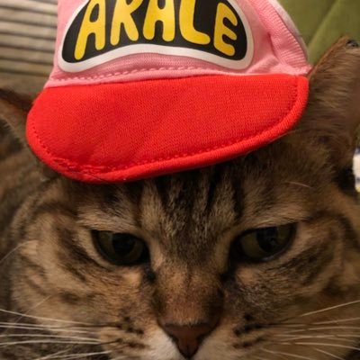 PODMOS's profile picture