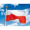 Marek Lewandowski 🇵🇱's profile picture