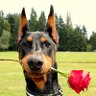 Фото профиля SinbadAaron