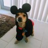 Yeonan's profile picture