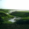 Фото профиля Abdulrhman