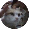 TanNL's profile picture