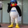 みやさん's profile picture