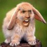 Squage McGee's profile picture