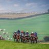 Wilton Point to Point's profile picture