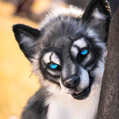 라이칸 Lycan FurstClass's profile picture