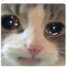 Poufsouffle's profile picture