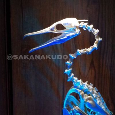 俺が工藤's profile picture