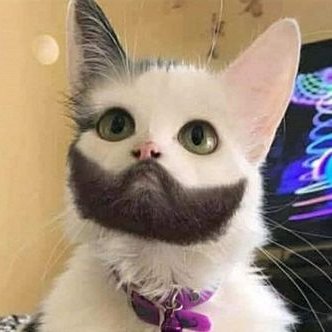 uzparadoxxx's profile picture