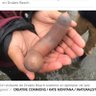 Elver gonh 的头像