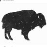 Фото профиля A Buffalo