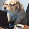 arl profil fotoğrafı