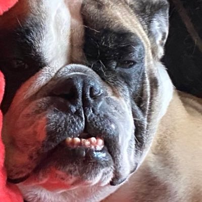 JeffMacke's profile picture