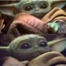 Chloe Ashdown's profile picture