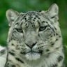 leka profil fotoğrafı