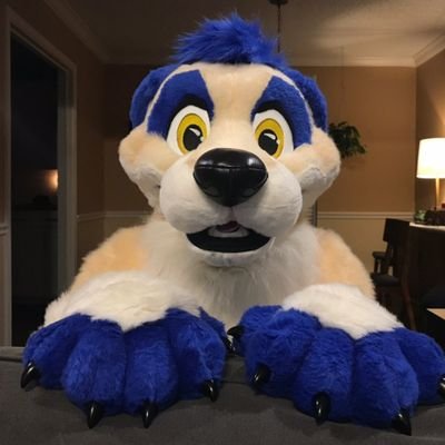 TigertheMeerkat's profile picture
