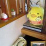 まー🐻 profil fotoğrafı