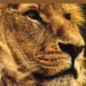 Haven_F profil fotoğrafı
