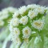 Фото профиля やしろ
