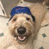 Rich B's profile picture