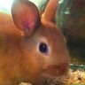 daisuke_sasaki_3👍 profil fotoğrafı