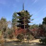 西洞院 的头像