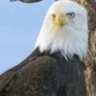 Abdullah profil fotoğrafı