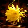 ☆noriko☆ profil fotoğrafı