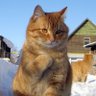Profilbild von GGAllinFan77