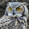 Profilbild von Archimedes