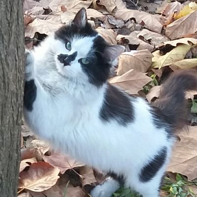 Av.NecatErmiş's profile picture