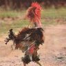 Scunnered's profile picture