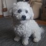 fendi's profile picture
