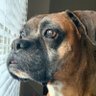 bebe_z profil fotoğrafı